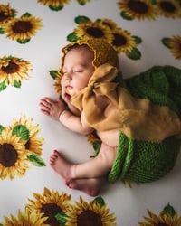 Image 15 of Newborn session