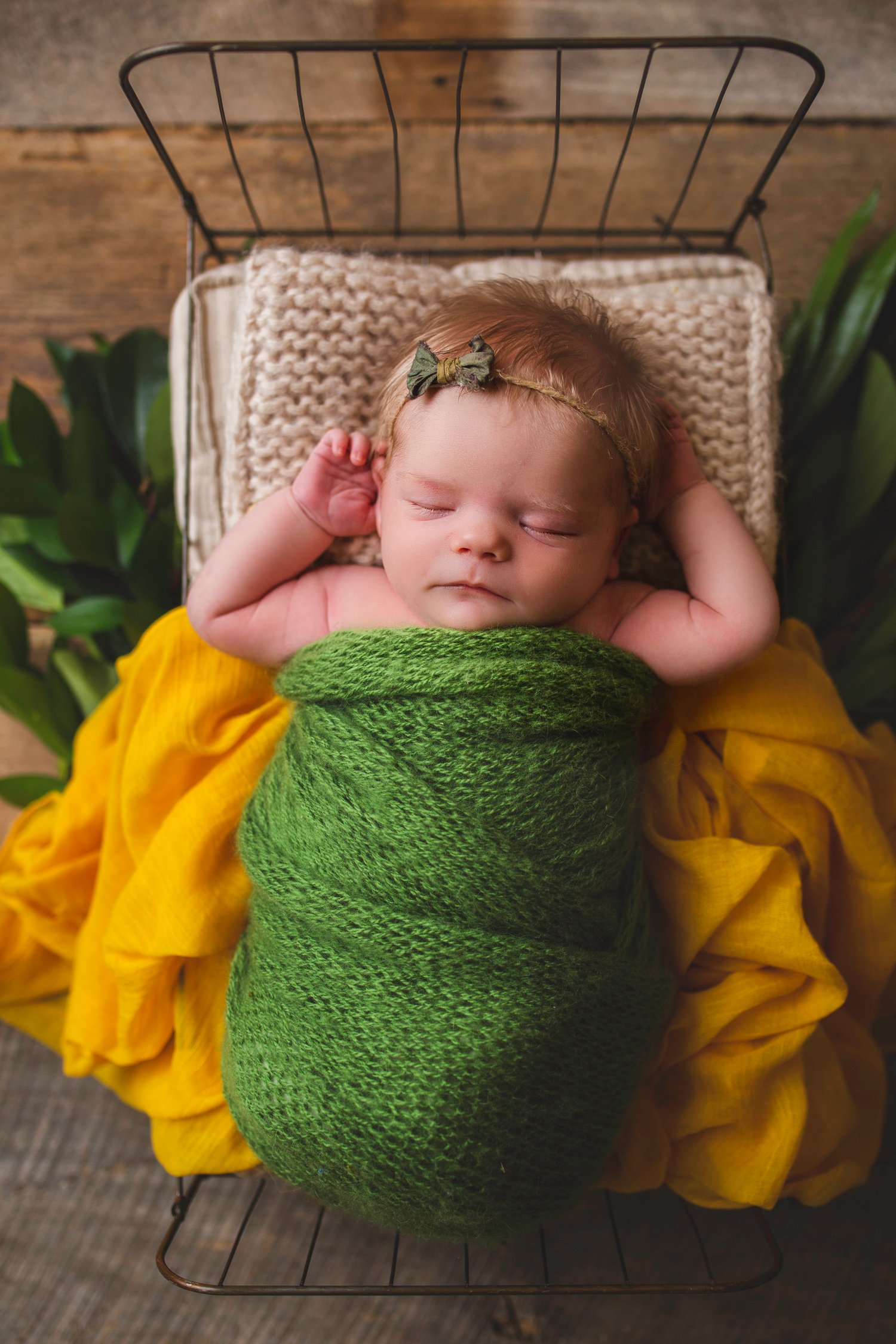 Image of Newborn session