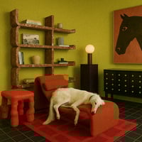 Image 1 of Dream Puppy Sleep Over