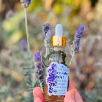 Image 1 of Lavender Oil
