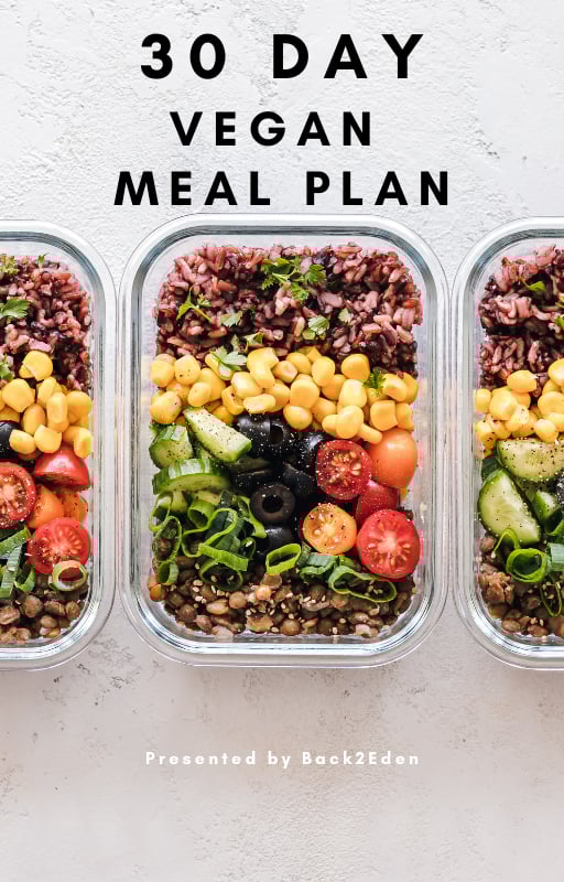 Image of 30 Day Vegan Meal Plan