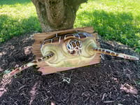 Image 1 of "Salsa Verde" Lifesize Green Sea Turtle Wall Mount OOAK