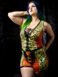 Image 2 of Medium-Large Animal Wrestling Set