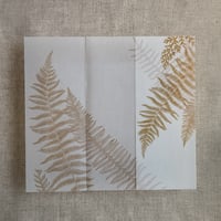 Image 9 of botanical fern leaves printed vellum wrap for 5x7 cards PACK of 10