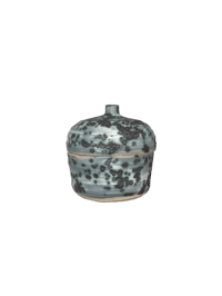 Image 3 of spore jar