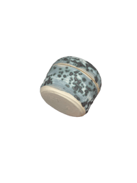 Image 5 of spore jar