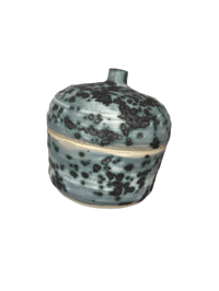 Image 1 of spore jar