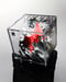 Image of "FURY 激怒" - Original CUBE painting #027