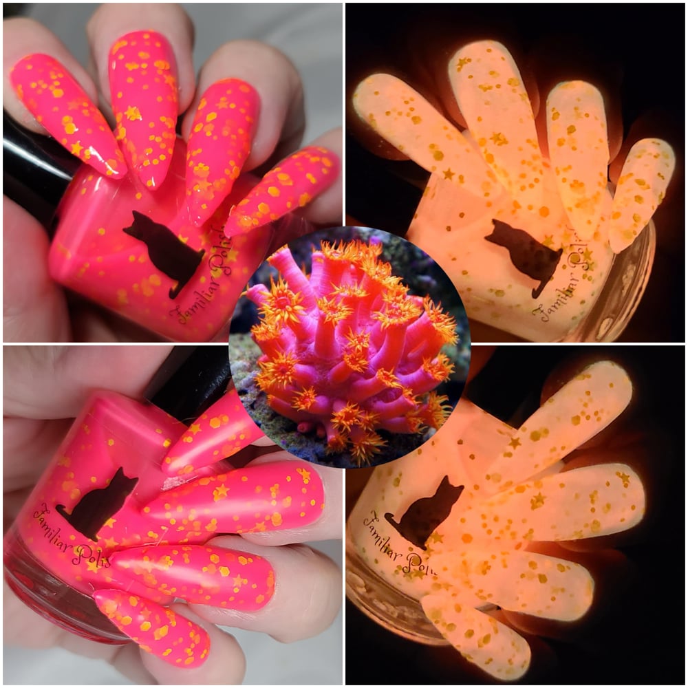 Image of Coral-dially Yours Duo