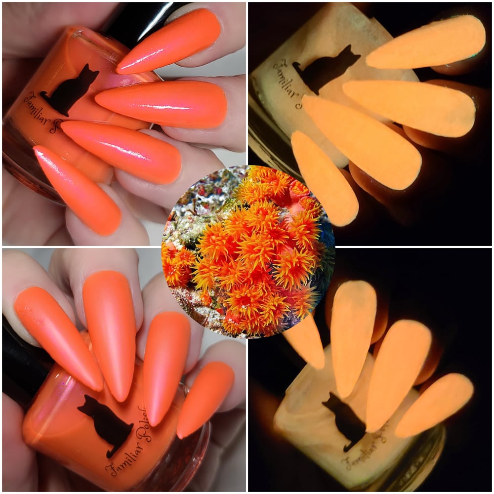 Image of Coral-dially Yours Duo