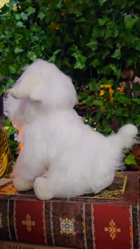 Image 4 of 👑The Armored Kingdom White Fluffington Highland Cow Plushie