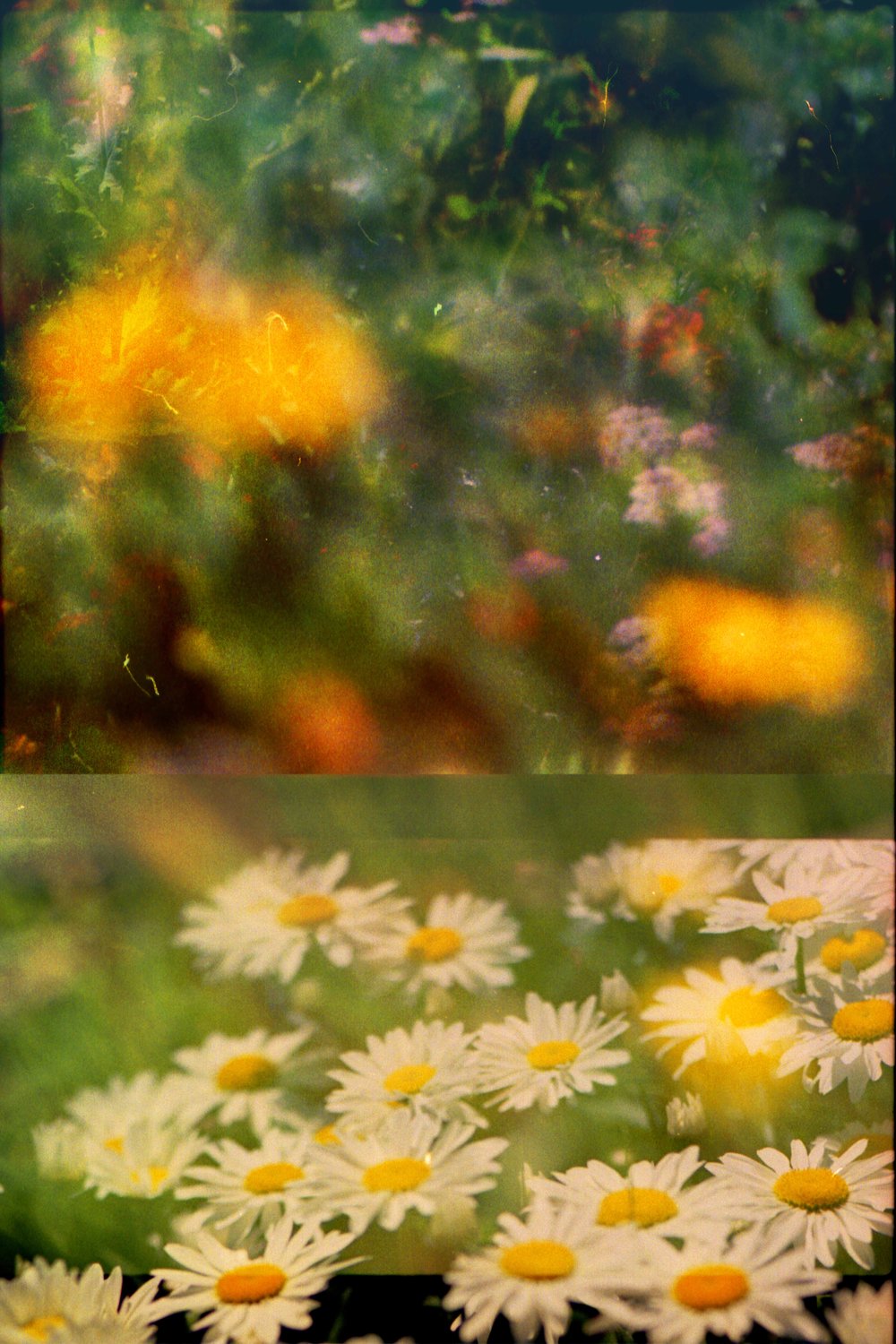 Image of Just For A Moment I.