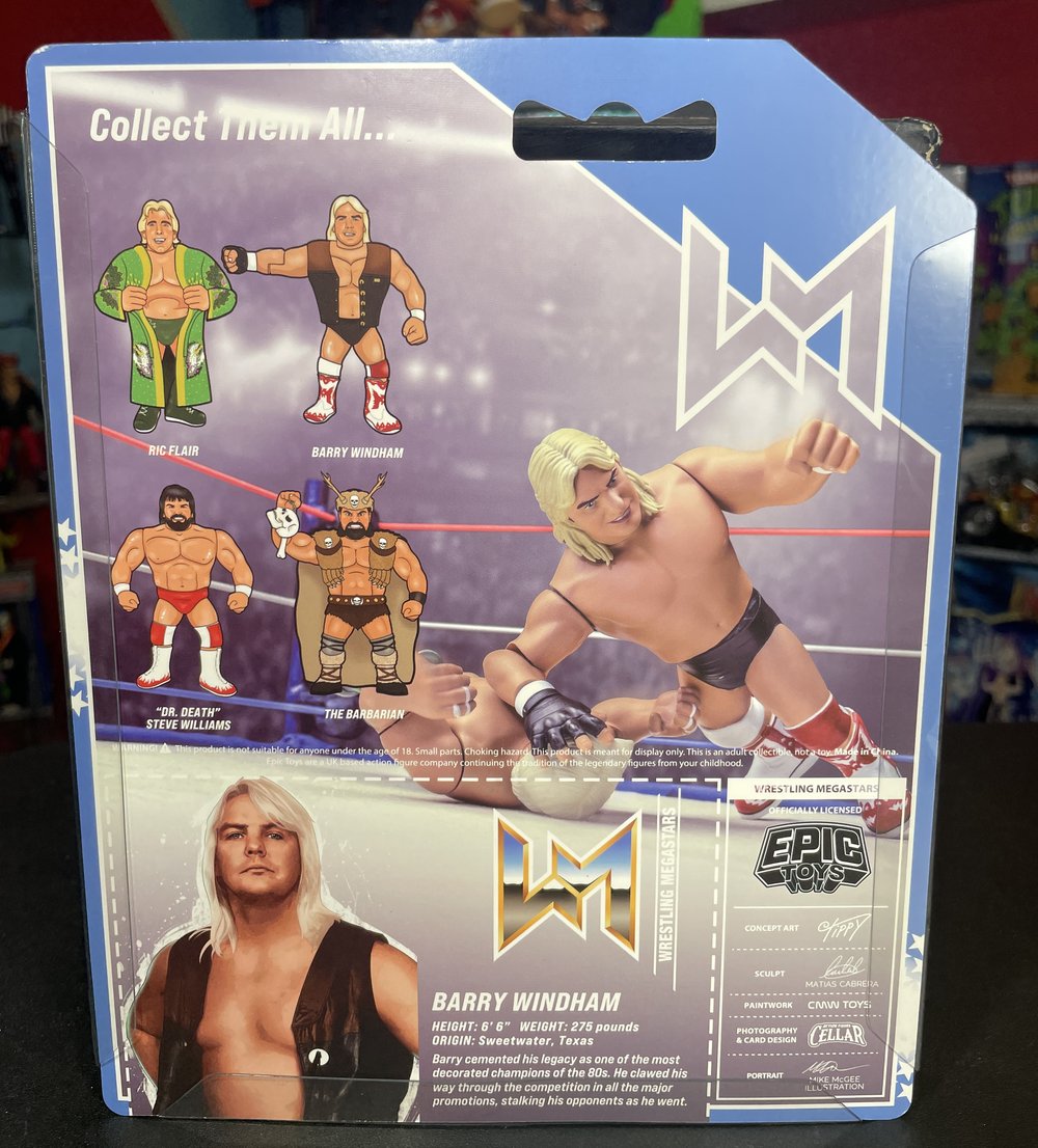 **IN STOCK** Barry Windham Wrestling Megastars Series 4 Figure by Epic Toys