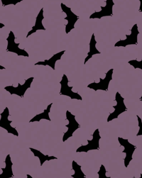 Image 2 of Ready in Lilieci