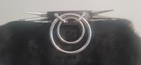 Image 1 of The Biggest Boy- 16 Spike Big Ring collar