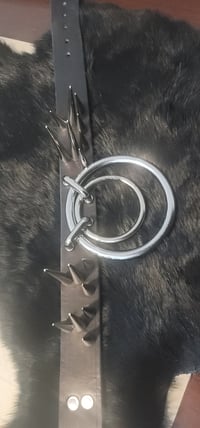 Image 2 of The Biggest Boy- 16 Spike Big Ring collar