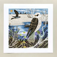 Image 1 of Goonhilly Falcons Large Print
