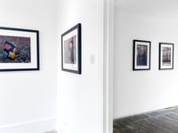 Image 2 of ‘Warhol Flowers III’, 1964