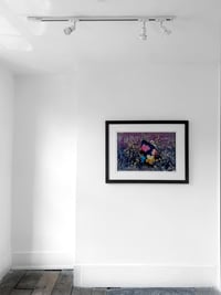 Image 4 of ‘Warhol Flowers XII’, 1964 - WILLIAM JOHN KENNEDY (WJK)