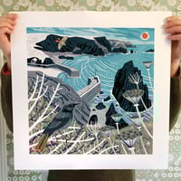Image 2 of Mullion Cove Black Redstarts Large Print