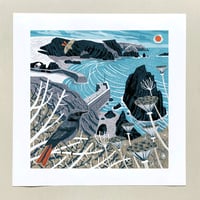 Image 1 of Mullion Cove Black Redstarts Large Print