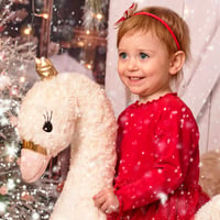 Image 2 of 16th Nov 2025 - Deposit for Christmas mini-session