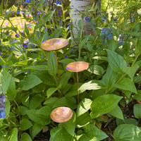 Image 2 of Copper Circle Flowers – Set of 3 