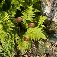 Image 3 of Copper Circle Flowers – Set of 3 