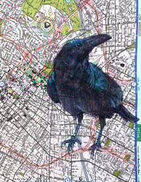 Los Angeles Raven