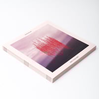 Image 1 of How This All Ends Vinyl