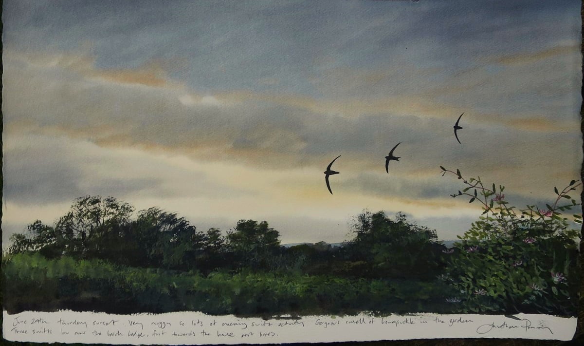 Image of Swifts and honeysuckle