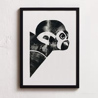 Image 1 of Black Squirrel Monkey
