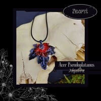 Image 12 of ☽ Acer Pseudoplatanus ☾