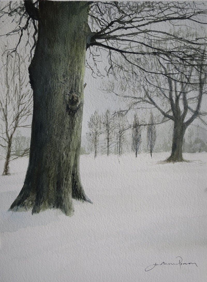 Image of Treecreeper in snow