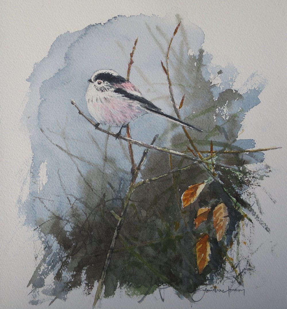 Image of Long-tailed tit