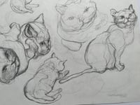 Image 3 of Cat on the move