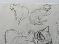 Image 5 of Cat on the move