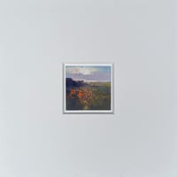 Image 2 of Montbretias at Ding Dong