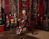 Image 3 of CHRISTMAS MINI'S 2025 - { DEPOSIT ONLY }