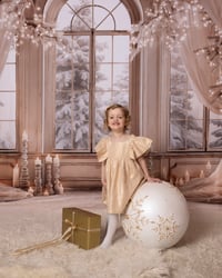 Image 4 of CHRISTMAS MINI'S 2025 - { DEPOSIT ONLY }