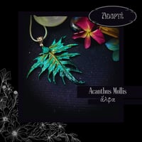 Image 1 of ☽ Acanthus Mollis ☾