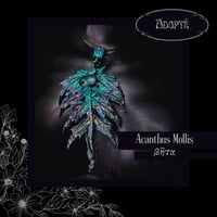 Image 2 of ☽ Acanthus Mollis ☾
