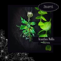 Image 4 of ☽ Acanthus Mollis ☾