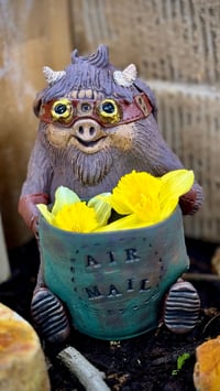 Image 1 of Porcine Aviator Planter