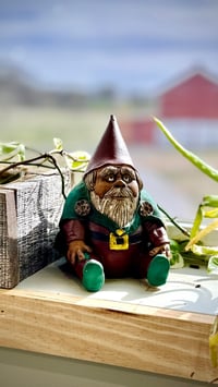 Image 5 of Garden Gnome