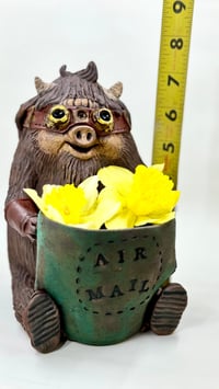 Image 5 of Porcine Aviator Planter