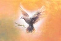 The Dove - print