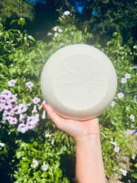 Image 3 of Sun Kiss; All natural skin protection from the sun