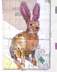 Tucson Rabbit