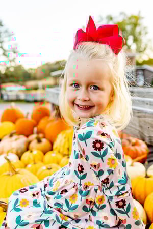 Image of 2025 Fall Photos at the Hidden Trails Corn Maze